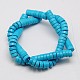 Synthetic Turquoise Beads Strands X-TURQ-G110-6x3mm-06-2