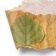 Aufkleberrollen aus Papier mit gefallenen Blättern DIY-C080-01G-3
