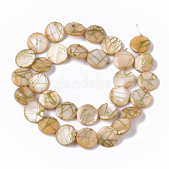 Fili perline di conchiglia d'acqua dolce&nbsp;SHEL-T014-012F
