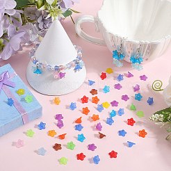 1300шт 13 цвета прозрачные акриловые колпачки для бусин&nbsp;TACR-SP0001-07