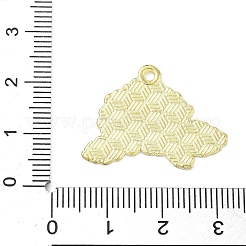 Emaille Anhänger Legierung&nbsp;ENAM-P258-02C-G