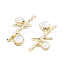 Подвески из смолы&nbsp;PALLOY-K003-22LG-02