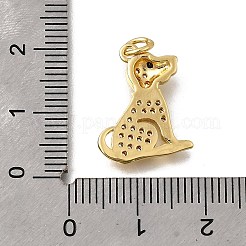 Латунные микропаве прозрачные подвески с фианитом&nbsp;KK-F899-02A-G