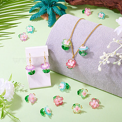 30шт 5 цвета прозрачные акриловые подвески&nbsp;PALLOY-TA00303