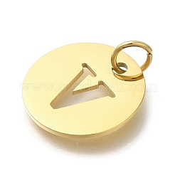 Placcatura ionica (ip) ciondoli in acciaio inossidabile 304&nbsp;STAS-M074-01G-V