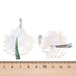 Подвески из натуральных ракушек пауа и белых ракушек&nbsp;KK-C135-03P