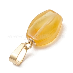 Подвески из натурального янтаря с градиентным цветом&nbsp;PALLOY-JF04930-02