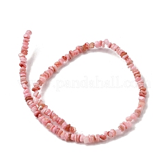 Бусины из натуральных пресноводных ракушек&nbsp;SHEL-B003-01N