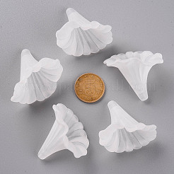Transparent gefrostetem Acryl Blumen Perlen&nbsp;X-BSF796