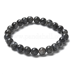 Natürliche Larvikit-Perlen-Stretch-Armbänder&nbsp;X-BJEW-K212-B-046
