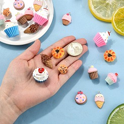 20шт 10 стиля непрозрачные подвески из смолы&nbsp;RESI-YW0004-07