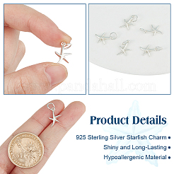 6 шт. 925 подвески из стерлингового серебра&nbsp;STER-DR0001-33