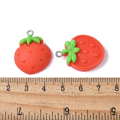 12шт 12 стиля непрозрачные подвески из смолы&nbsp;RESI-V001-04