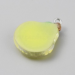 Pendenti in resina opaca&nbsp;RESI-CJC0029-001A-02