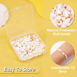 160шт 8 стиля натуральные пресноводные бусины из ракушек&nbsp;SHEL-TA0001-08