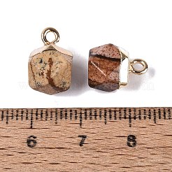 Natur Bildjaspisses Anhänger&nbsp;G-N359-18G-13