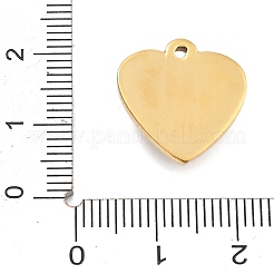 Pendentifs en strass en acier inoxydable 304&nbsp;STAS-R155-035K-G