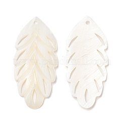 Естественных пресноводных оболочки большие кулоны&nbsp;SHEL-F007-19