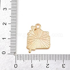 Подвески из сплава с эмалью ко дню святого валентина&nbsp;ENAM-I084-01KCG-33