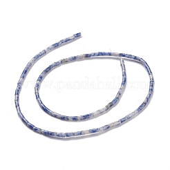 Fili di perle di diaspro macchia blu naturale&nbsp;G-M389-08