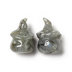 Decoraciones de la exhibición casera del labradorite natural&nbsp;DJEW-F018-01A
