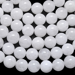 Натуральный Malaysia нефритовые бусы пряди&nbsp;G-L645-B01-10mm-01