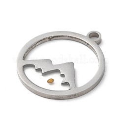 Подвески из нержавеющей стали 201&nbsp;LS-STAS-D041-17P