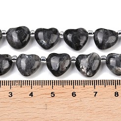 Натуральные нити бус из ларвикита&nbsp;G-NH0069-A10