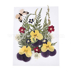 Прессованные сушеные цветы&nbsp;DIY-YWC0001-96