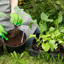 20 Stück 2 Beutel Pflanzenetiketten aus Edelstahl 304&nbsp;DIY-UN0008-05