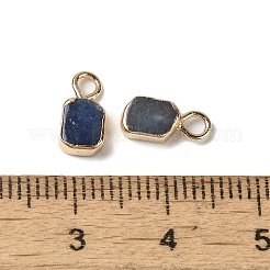 Gefärbte und erhitzte natürliche blaue Aventurin-Rechteckanhänger&nbsp;G-Q169-07G-07