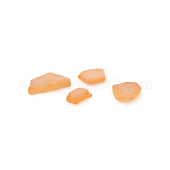 Perles de coquillages naturels d'eau douce&nbsp;X-BSHE-I011-03C