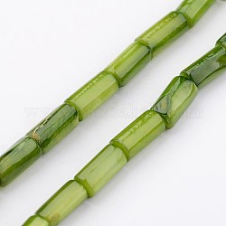 Conchiglia naturale fili di perle, tinto, colonna, verde giallo, 8x4mm, Foro: 0.5 mm, circa 50pcs/filo, 15.7 pollice