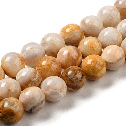 Natural Crazy Agate Beads Strands, Round, 10mm, Hole: 1.1mm, about 38pcs/strand, 15.04''(38.2cm)