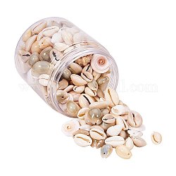 CHGCRAFT about 200pcs Mixed Ocean Sea Shells Natural Seashells Spiral Shell Beads for Fish Tank, Home Decor, Beach Theme Party, Candle Making, Wedding Decor, DIY Crafts