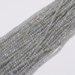 Chapelets de perles en labradorite naturelle , ronde, facetté (128 facettes), 2mm, Trou: 0.5mm, Environ 220 pcs/chapelet, 15.7 pouce (40 cm)