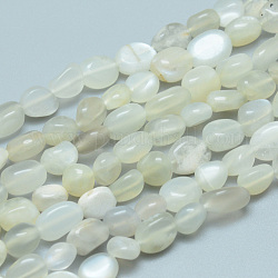 Brins de perles de pierre de lune grise naturelle, pierre roulée, pépites, 6~9x6~7x4~5mm, Trou: 0.8mm, Environ 54 pcs/chapelet, 15.55 pouce (39.5 cm)