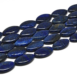 Chapelets de perles en lapis-lazuli naturel, oeil de cheval, 30~31x18~18.5x6.5~7mm, Trou: 1mm, Environ 13 pcs/chapelet, 15.35'' (39 cm)