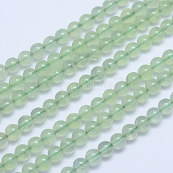 Rondes prehnite naturelle perles brins, AA grade, 6.5mm, Trou: 1mm, Environ 66 pcs/chapelet, 15.5 pouce