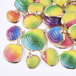 Electroplate Shell Pendants, with Brass Findings, Dyed, Light Gold, Mixed Color, 19~32x16~29x5~8mm, Hole: 1.6mm