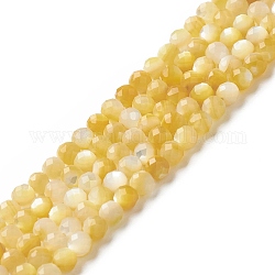 Hebras de cuentas de concha amarilla dorada natural, facetados, redondo, 4mm, agujero: 0.5 mm, aproximamente 98 pcs / cadena, 15.55 pulgada (39.5 cm)