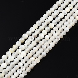 Fili di perline di conchiglia bianco naturale, tondo, 2~2.5mm, Foro: 0.6 mm, circa 172~173pcs/filo, 14.57 pollice ~ 14.69 pollici (37~37.3 cm)