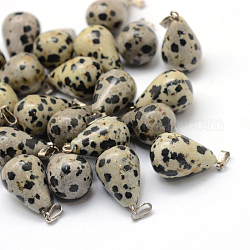 Teardrop Natural Dalmatian Jasper Pendants, with Platinum Tone Brass Findings, 21~24x12~14mm, Hole: 2x7mm