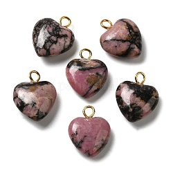Pendentifs en rhodonite naturelle, breloques coeur avec passants en laiton plaqué or, 15~15.5x12~12.5x4.5~5.5mm, Trou: 2mm