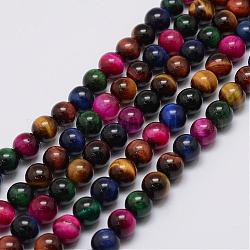 Chapelets de perles d'œil de tigre naturel, ronde, teinte, couleur mixte, 6mm, Trou: 1mm, Environ 63 pcs/chapelet, 14.96 pouce (38 cm)