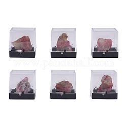 Самородки натуральный турмалин, грубые необработанные каменные украшения для дома, с упаковочной коробкой, 13~34x5~27x5~27 мм, 6 шт / коробка