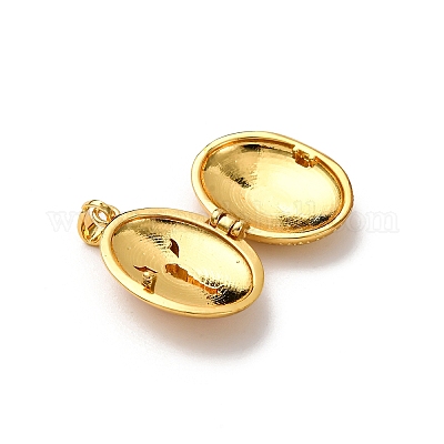Латунь эмаль Locket подвески&nbsp;KK-K305-05G-1