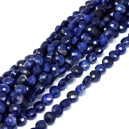Natural Sodalite Beads Strands G-I249-A18-1