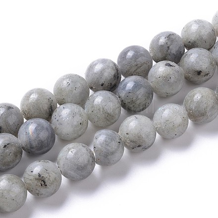 Natural Labradorite Beads Strands G-I261-D02-10mm-1