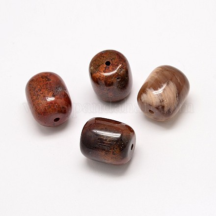 Natural Maxico Red Agate Barrel Beads G-P076-23-19mm-1